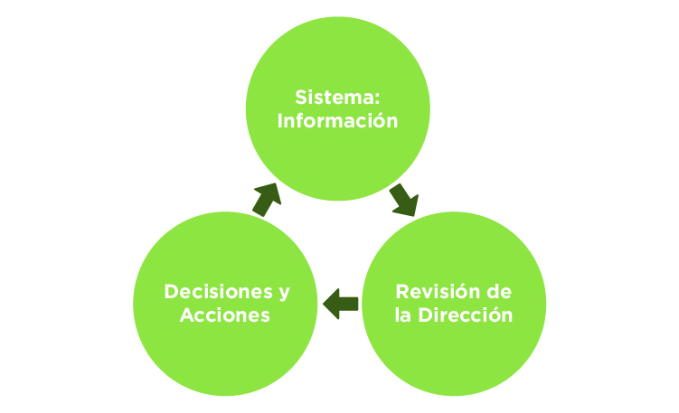 Revisión de la dirección en la norma BRCGS Food